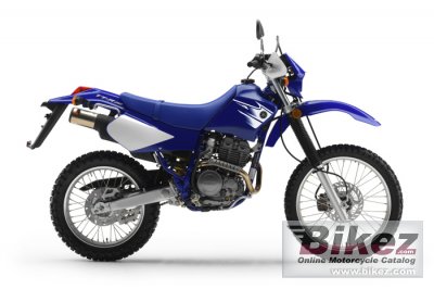 2007 Yamaha TTR250 photo